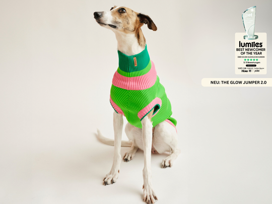 THE GLOW JUMPER 2.0 (Watermelon Crush)