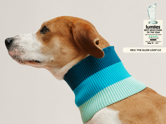 THE GLOW LOOP 2.0 (Crystal Sky)