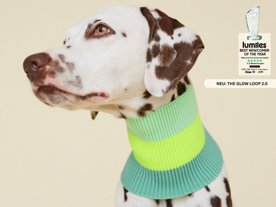 THE GLOW LOOP 2.0 (Neon Matcha)