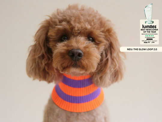 THE GLOW LOOP 2.0 (Poppy Lavender)