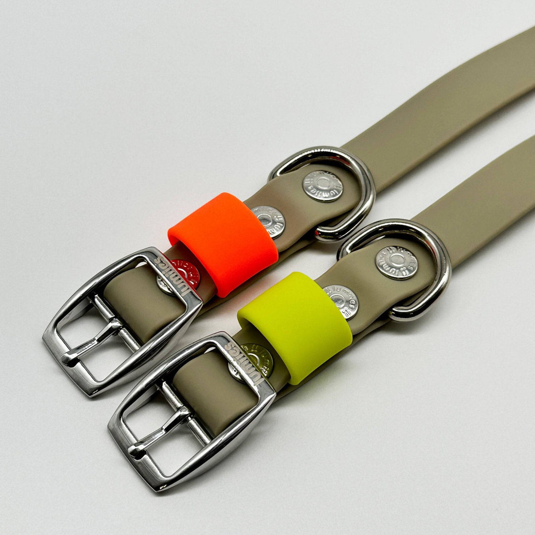 THE CITY COLLAR (outdoor) - Neon Hundehalsband wasserdicht - lumiies - high visibility