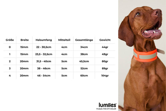 THE CITY COLLAR (outdoor) - Neon Hundehalsband wasserdicht - lumiies - high visibility