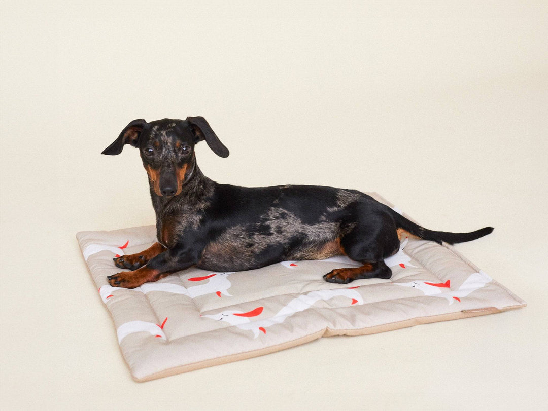 THE DOXIE MAT (Dackeldecke) - lumiies - high visibility