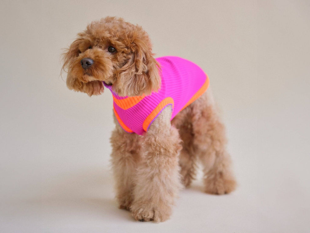 Hundepullover magenta – gestrickter Glow Jumper von lumiies® für kleine & mittelgroße Hunde