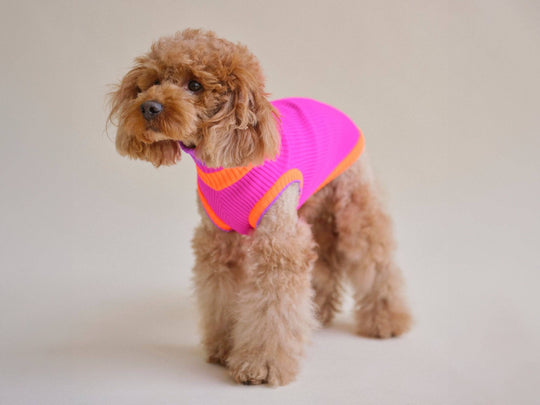 THE GLOW JUMPER (Hundepullover, gestrickt, magenta) - lumiies - high visibility