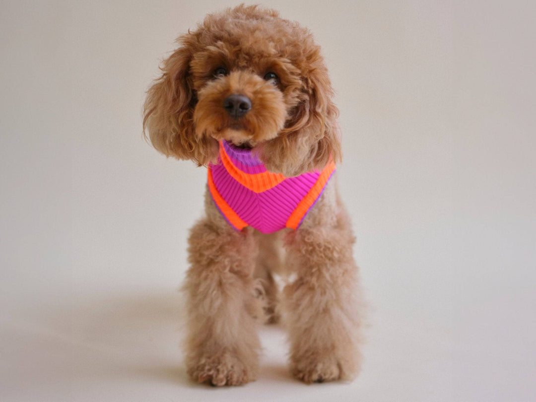 THE GLOW JUMPER (Hundepullover, gestrickt, magenta) - lumiies - high visibility