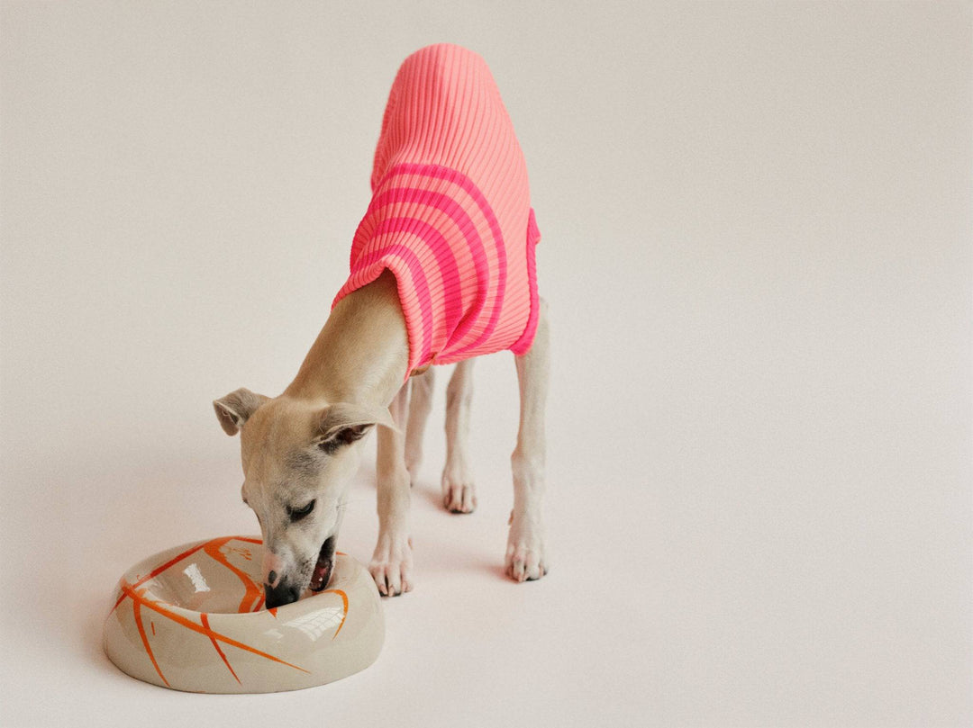 THE GLOW JUMPER (Hundepullover, gestrickt, pink) - lumiies - high visibility