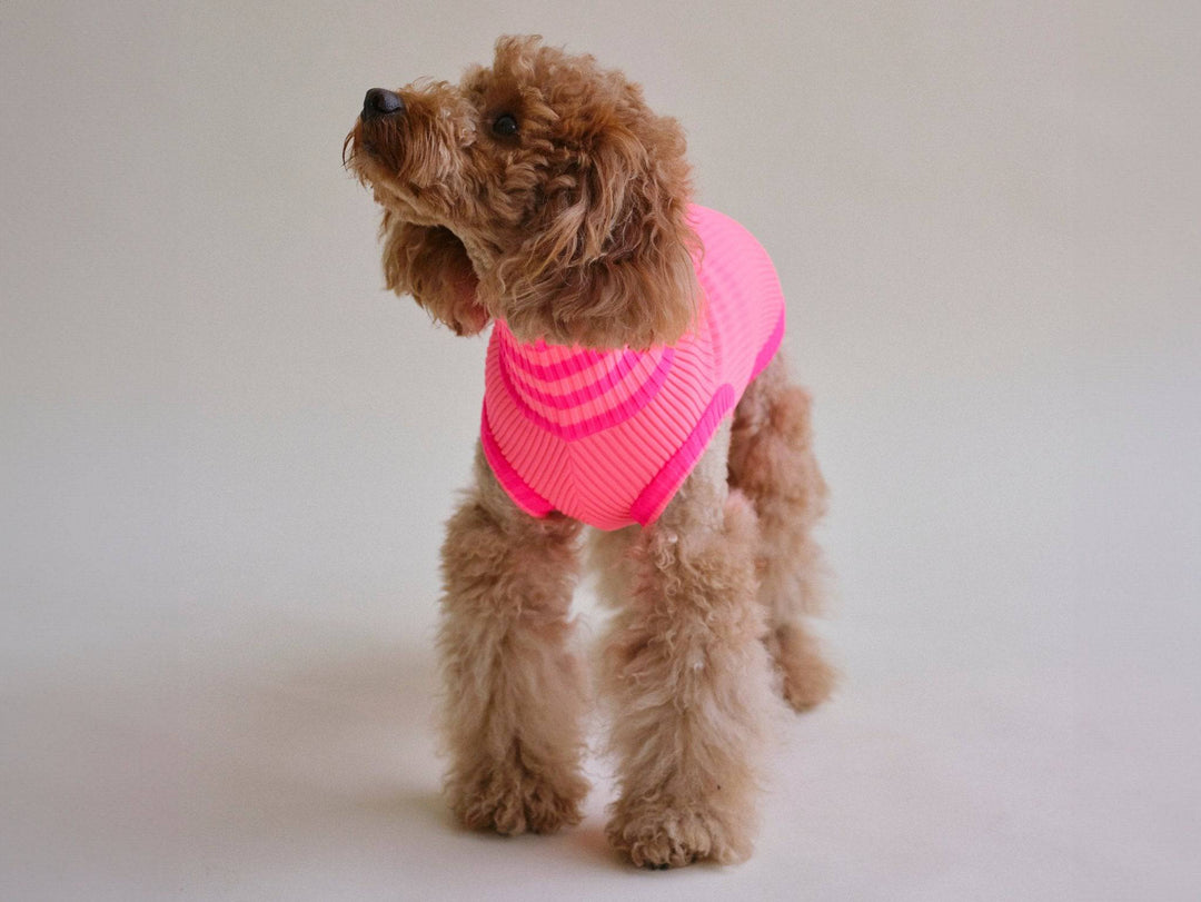 THE GLOW JUMPER (Hundepullover, gestrickt, pink) - lumiies - high visibility