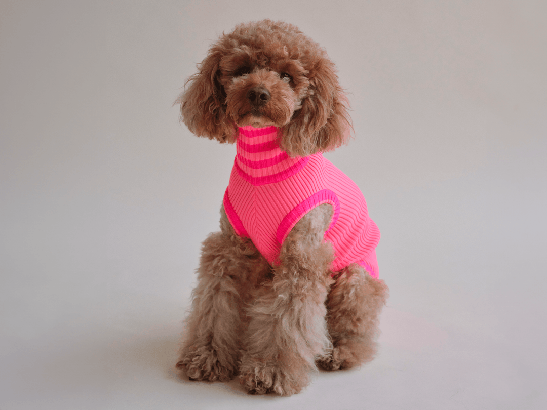 THE GLOW JUMPER (Hundepullover, gestrickt, pink) - lumiies - high visibility