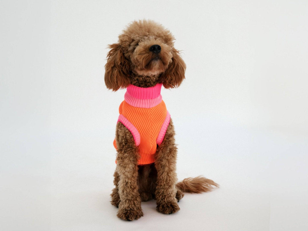 THE GLOW JUMPER (Hundepullover, gestrickt, orange/pink) - lumiies - high visibility