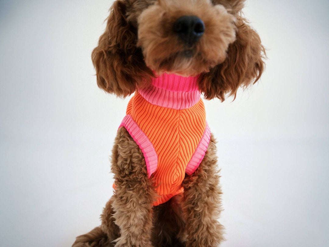 THE GLOW JUMPER (Hundepullover, gestrickt, orange/pink) - lumiies - high visibility