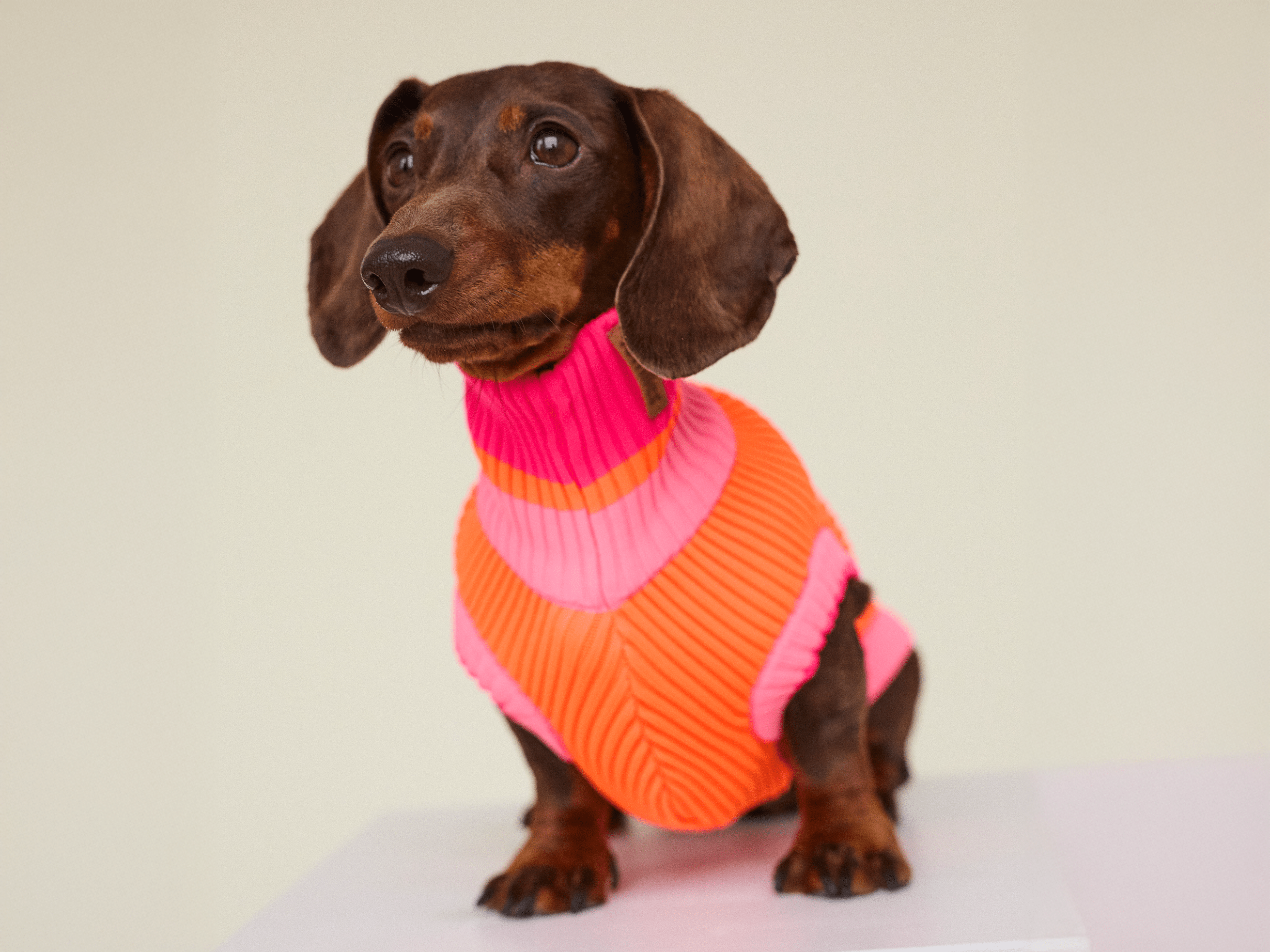 THE GLOW JUMPER (Hundepullover, gestrickt, orange/pink) - lumiies - high visibility