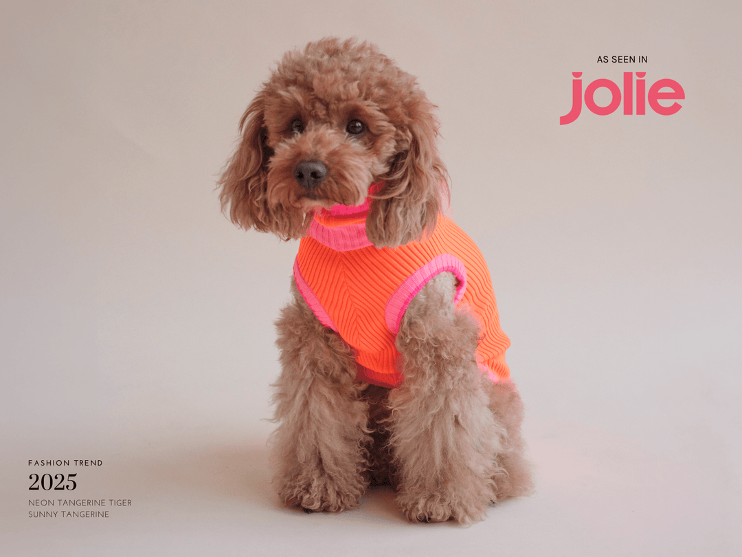 THE GLOW JUMPER (Hundepullover, gestrickt, orange/pink) - lumiies - high visibility