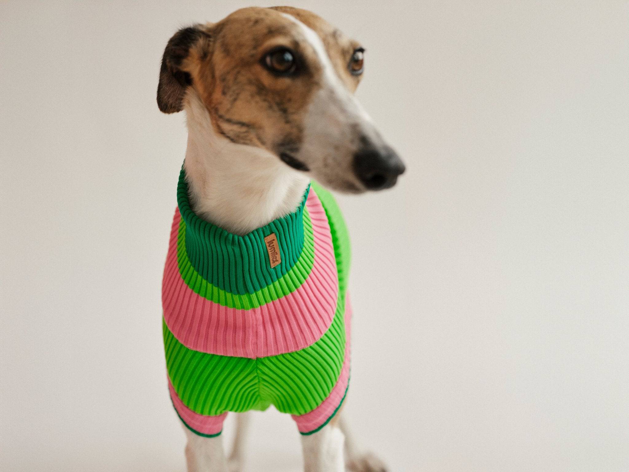 THE GLOW JUMPER (Hundepullover, gestrickt, neongrün/pink) - lumiies - high visibility