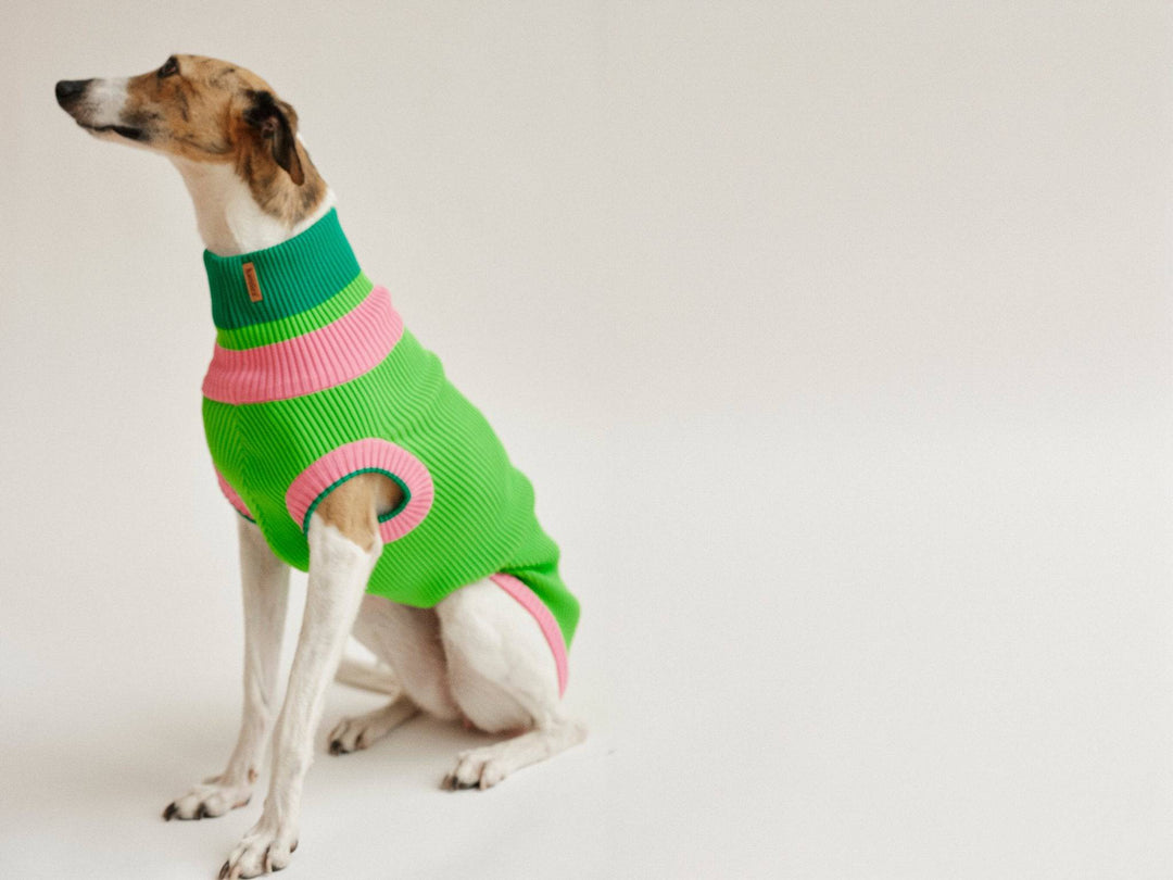 THE GLOW JUMPER (Hundepullover, gestrickt, neongrün/pink) - lumiies - high visibility