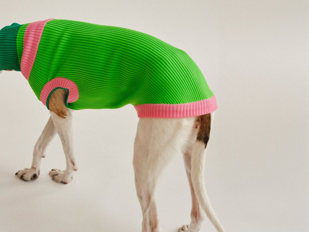 THE GLOW JUMPER (Hundepullover, gestrickt, neongrün/pink) - lumiies - high visibility