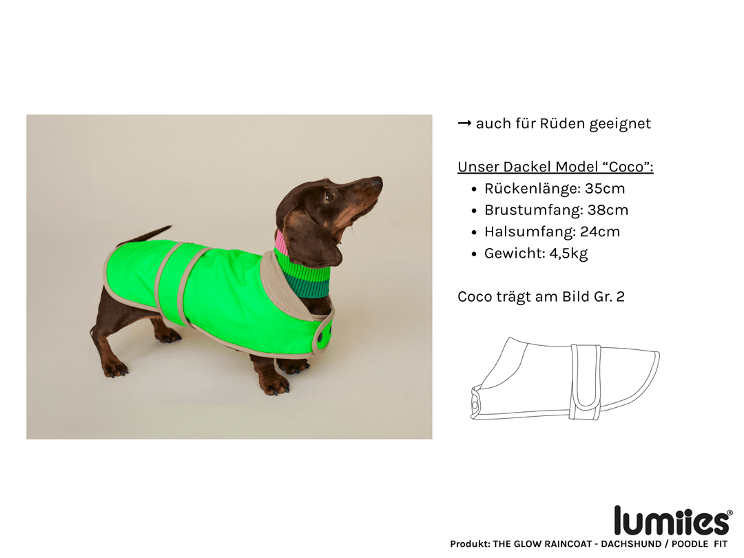 THE GLOW RAINCOAT (wasserdichter Hundemantel für kleine Hunderassen & Dackel) - lumiies - high visibility