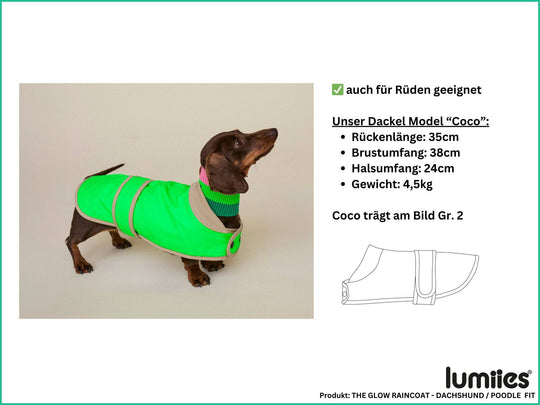 THE GLOW RAINCOAT (wasserdichter Hundemantel für kleine Hunderassen & Dackel) / B-Ware - lumiies - high visibility