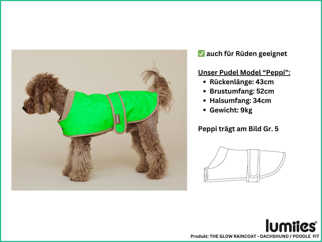 THE GLOW RAINCOAT (wasserdichter Hundemantel für kleine Hunderassen & Dackel) / B-Ware - lumiies - high visibility