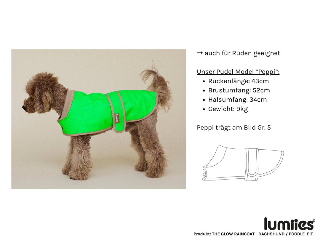 THE GLOW RAINCOAT (wasserdichter Hundemantel für kleine Hunderassen & Dackel) - lumiies - high visibility