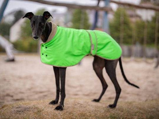 THE GLOW RAINCOAT (wasserdichter Hundemantel, Regular Fit) - lumiies - high visibility