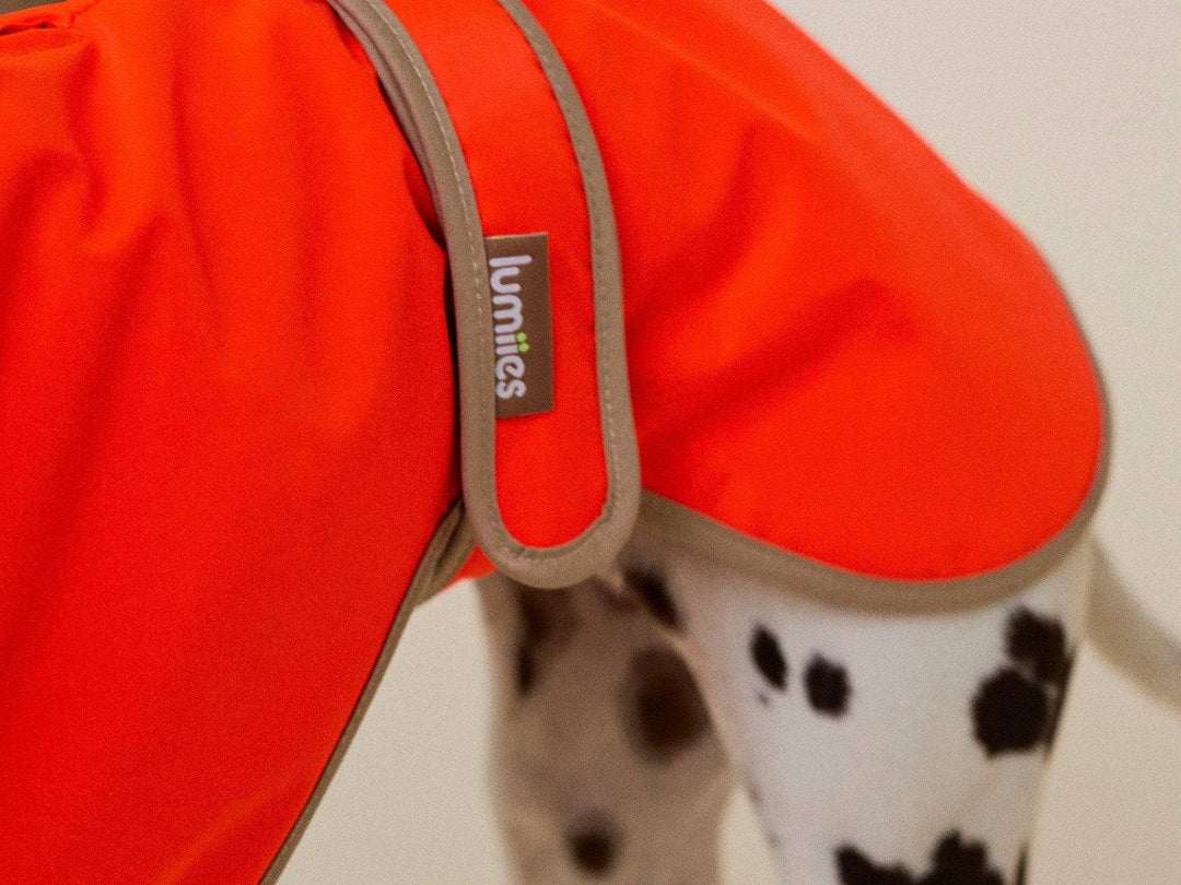 THE GLOW RAINCOAT (wasserdichter Hundemantel, Regular Fit) - lumiies - high visibility