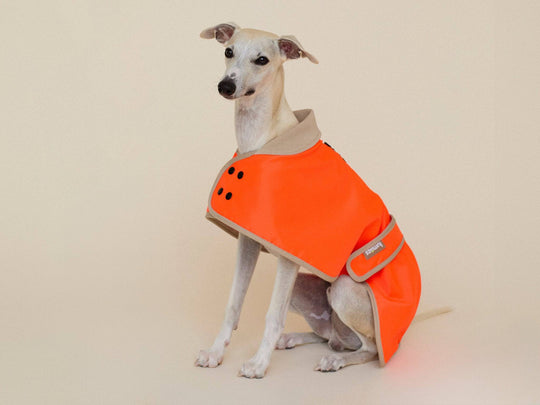 THE GLOW RAINCOAT (wasserdichter Hundemantel, Regular Fit) - lumiies - high visibility