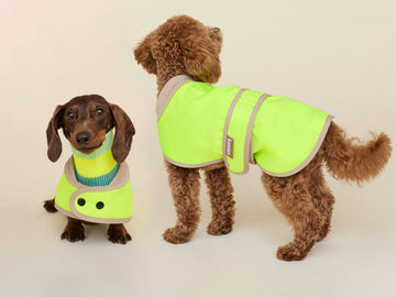 THE GLOW RAINCOAT (Dog Raincoat) Dachshund & Poodle - Fit