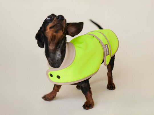 THE GLOW RAINCOAT (wasserdichter Hundemantel für kleine Hunderassen & Dackel) - lumiies - high visibility