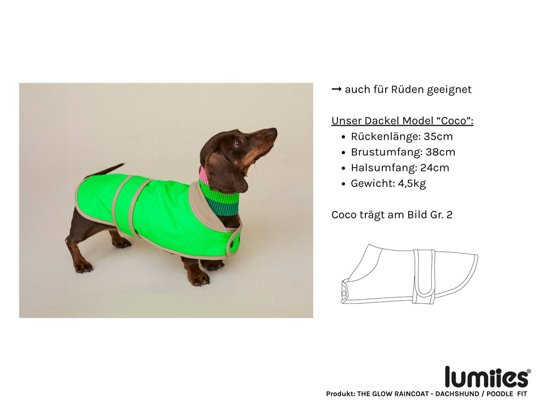 THE GLOW RAINCOAT (wasserdichter Hundemantel für kleine Hunderassen & Dackel) - lumiies - high visibility