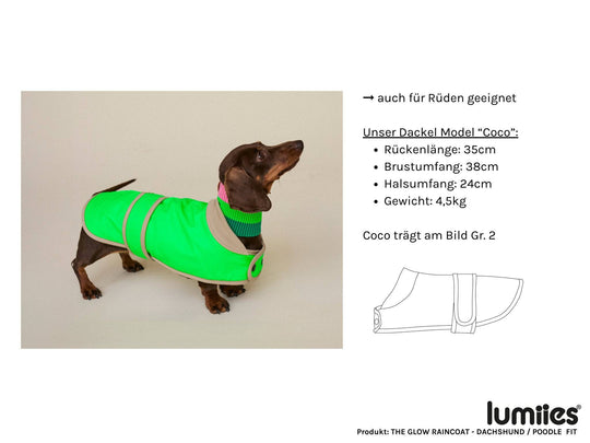 THE GLOW RAINCOAT (wasserdichter Hundemantel für kleine Hunderassen & Dackel) - lumiies - high visibility