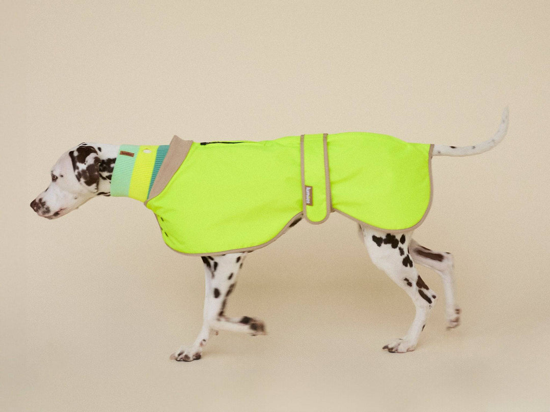 THE GLOW RAINCOAT (wasserdichter Hundemantel, Regular Fit) - lumiies - high visibility