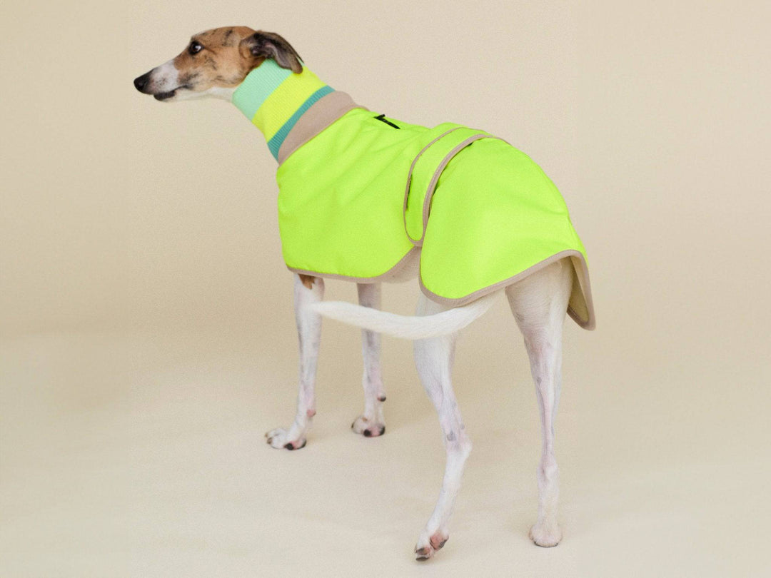 THE GLOW RAINCOAT (wasserdichter Hundemantel, Regular Fit) - lumiies - high visibility