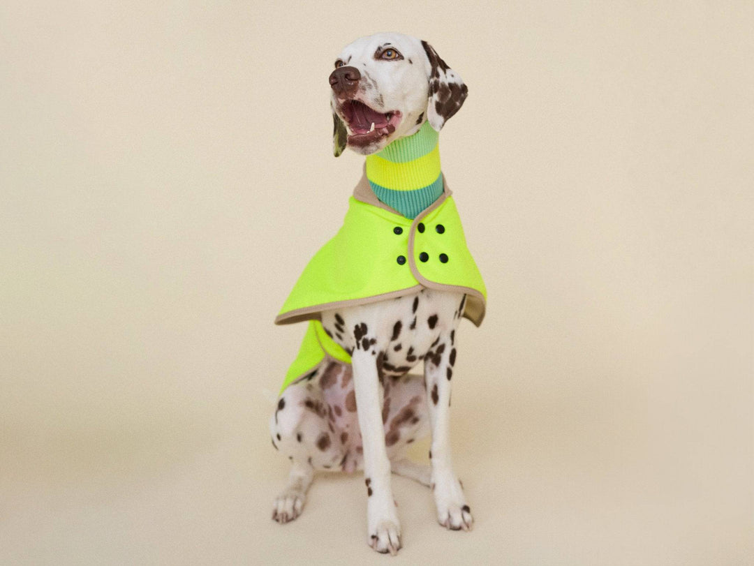 THE GLOW RAINCOAT (wasserdichter Hundemantel, Regular Fit) - lumiies - high visibility