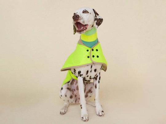 THE GLOW RAINCOAT (wasserdichter Hundemantel, Regular Fit) - lumiies - high visibility