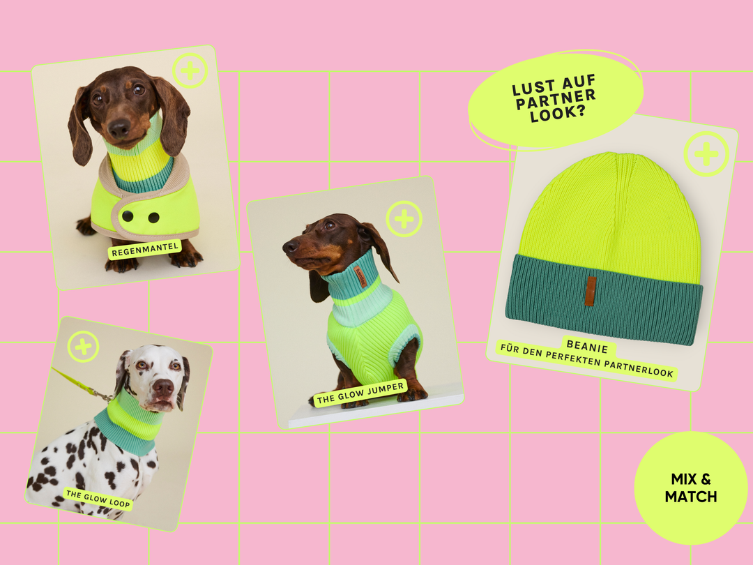 Neon Matcha Fabkombinationen