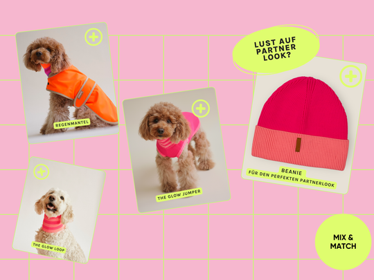 Pink Parada Farbkombination