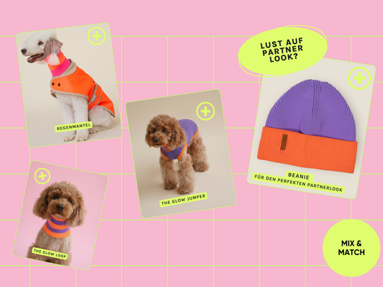 Poppy Lavender Farbkombination