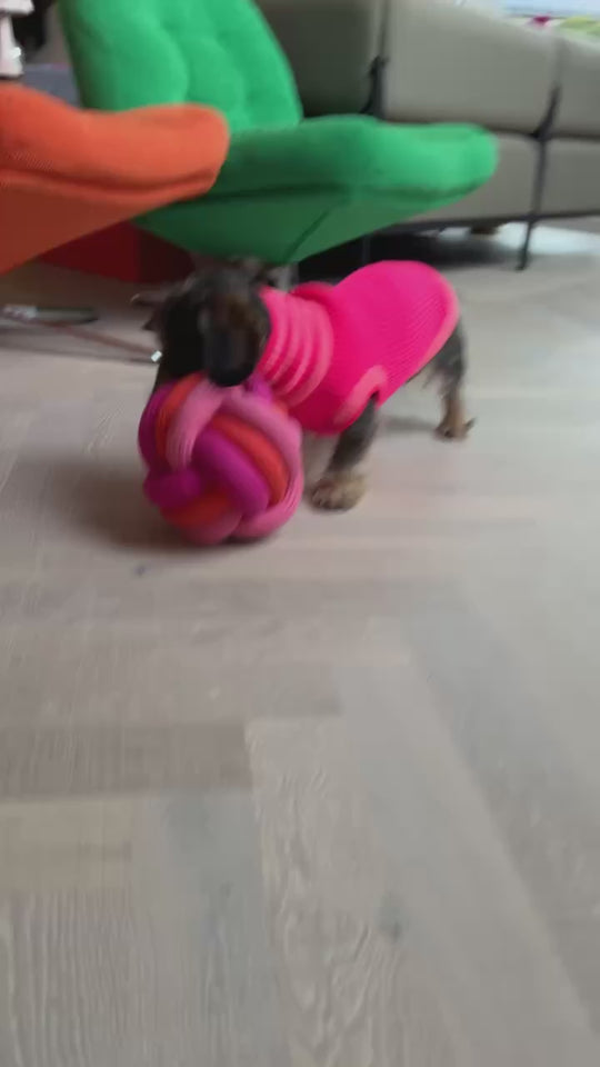 THE GLOW JUMPER 2.0 - Neon Hundepullover - (Pink Parade)