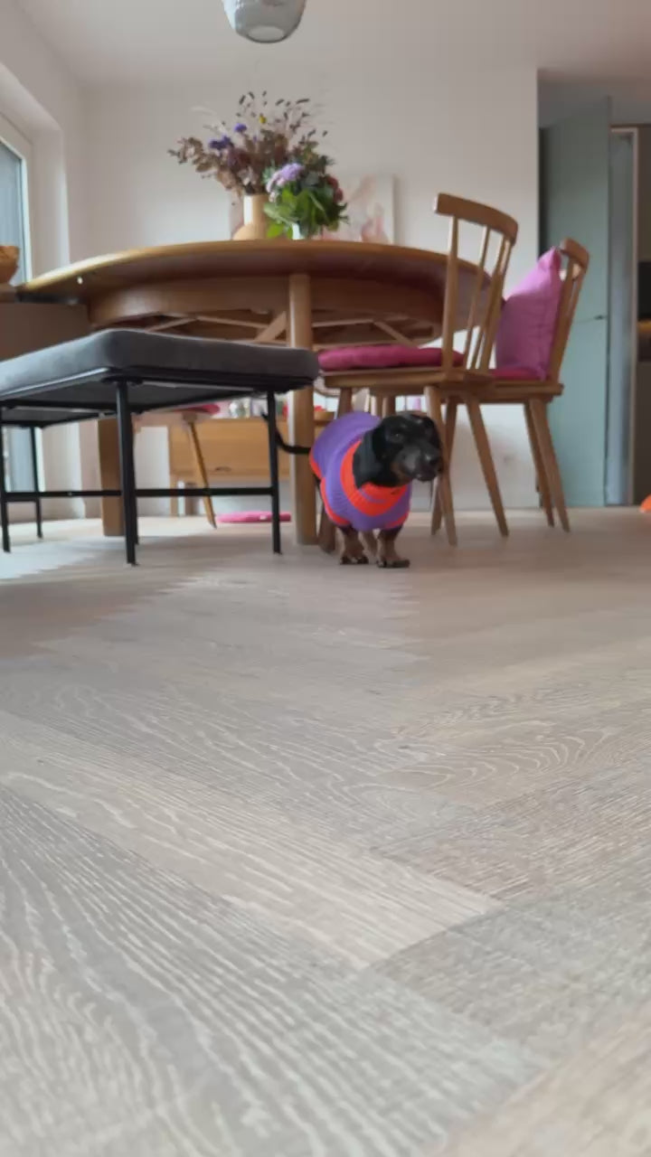 THE GLOW JUMPER 2.0 - Neon Hundepullover - (Poppy Lavender)