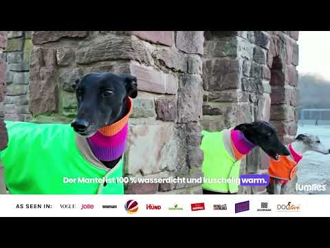 THE GLOW RAINCOAT (wasserdichter Hundemantel, Regular Fit)