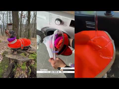 THE GLOW RAINCOAT mini-fit – Hundemantel für kleine Hunderassen und Dackel in Neongelb