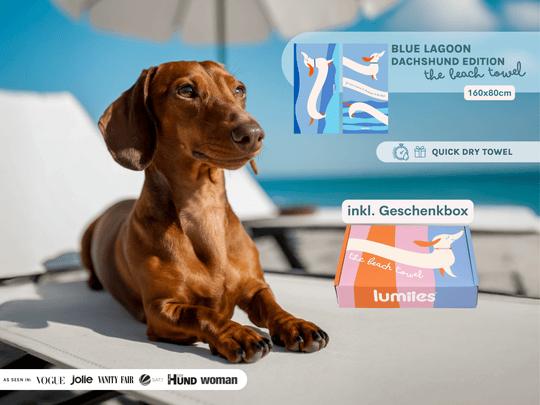Dackel neben schnelltrocknendem Beach Towel mit Dackel Motiv