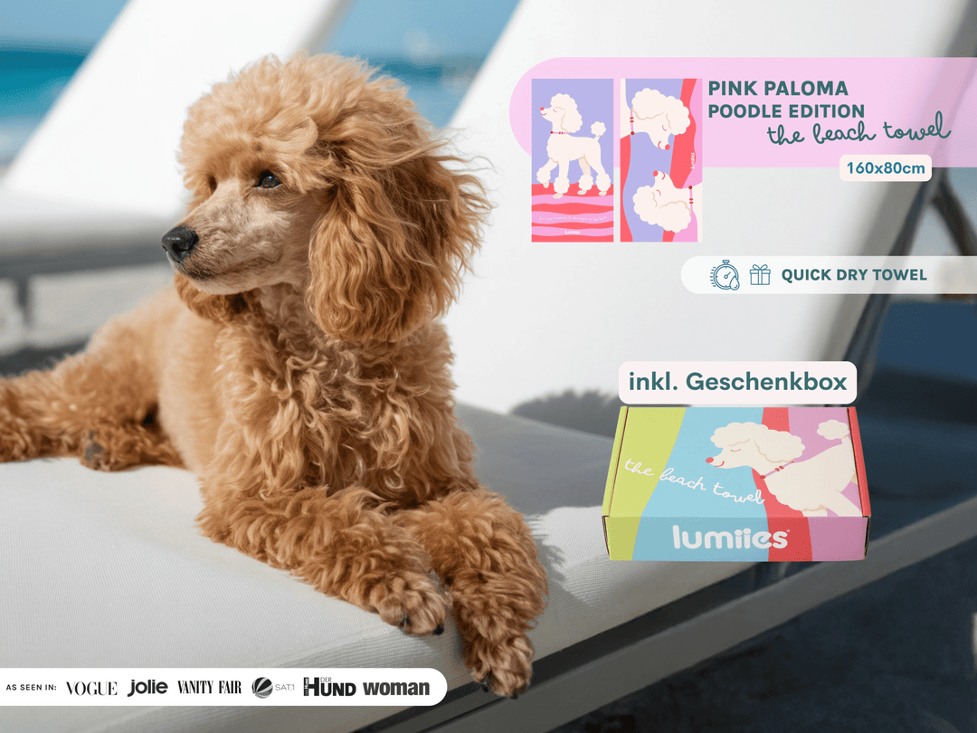 Hund liegt neben schnelltrocknendem Beach Towel mit Pudel Design