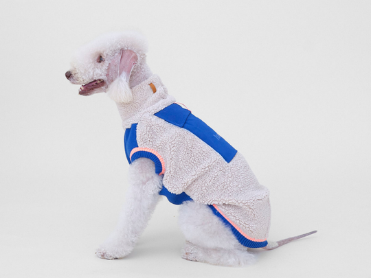 Bedlington Terrier Felix sitzt im Sherpa-Hundepullover in Beige mit Blau, trägt Größe 6