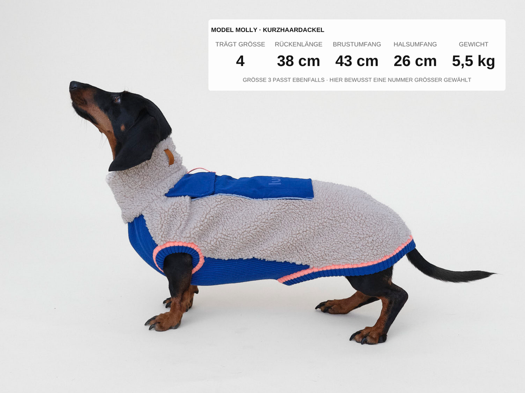 THE SPORT RACER Hundepullover (Sherpa Edition)