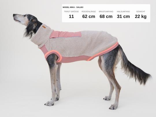 Saluki Mika im Sherpa-Hundepullover in Beige mit Rosé, 22 kg, Rückenlänge 62 cm, trägt Größe 11