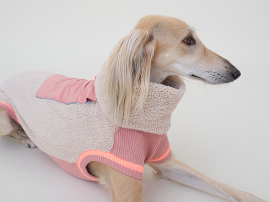 Saluki Prija im Sherpa-Hundepullover in Beige mit Rosé, Detail von Kragen und Schulter
