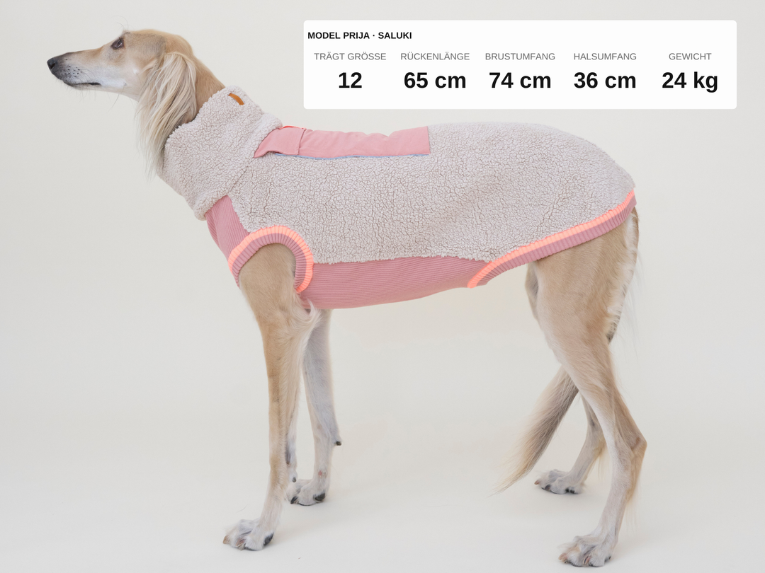 Saluki Prija im Sherpa-Hundepullover in Beige mit Rosé, 24 kg, Rückenlänge 65 cm, trägt Größe 12