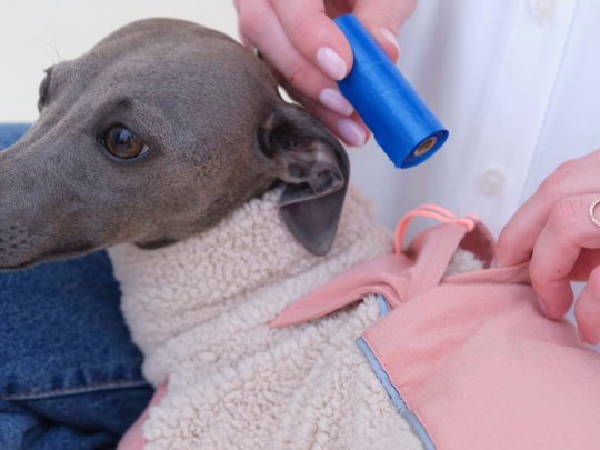 Versteckte Rückentasche am Sherpa-Hundepullover in Beige mit Rosé, eine LED-Leuchte wird verstaut